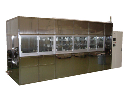 Image Caption